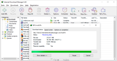 IDM lifetime genuine key BD instant delivery